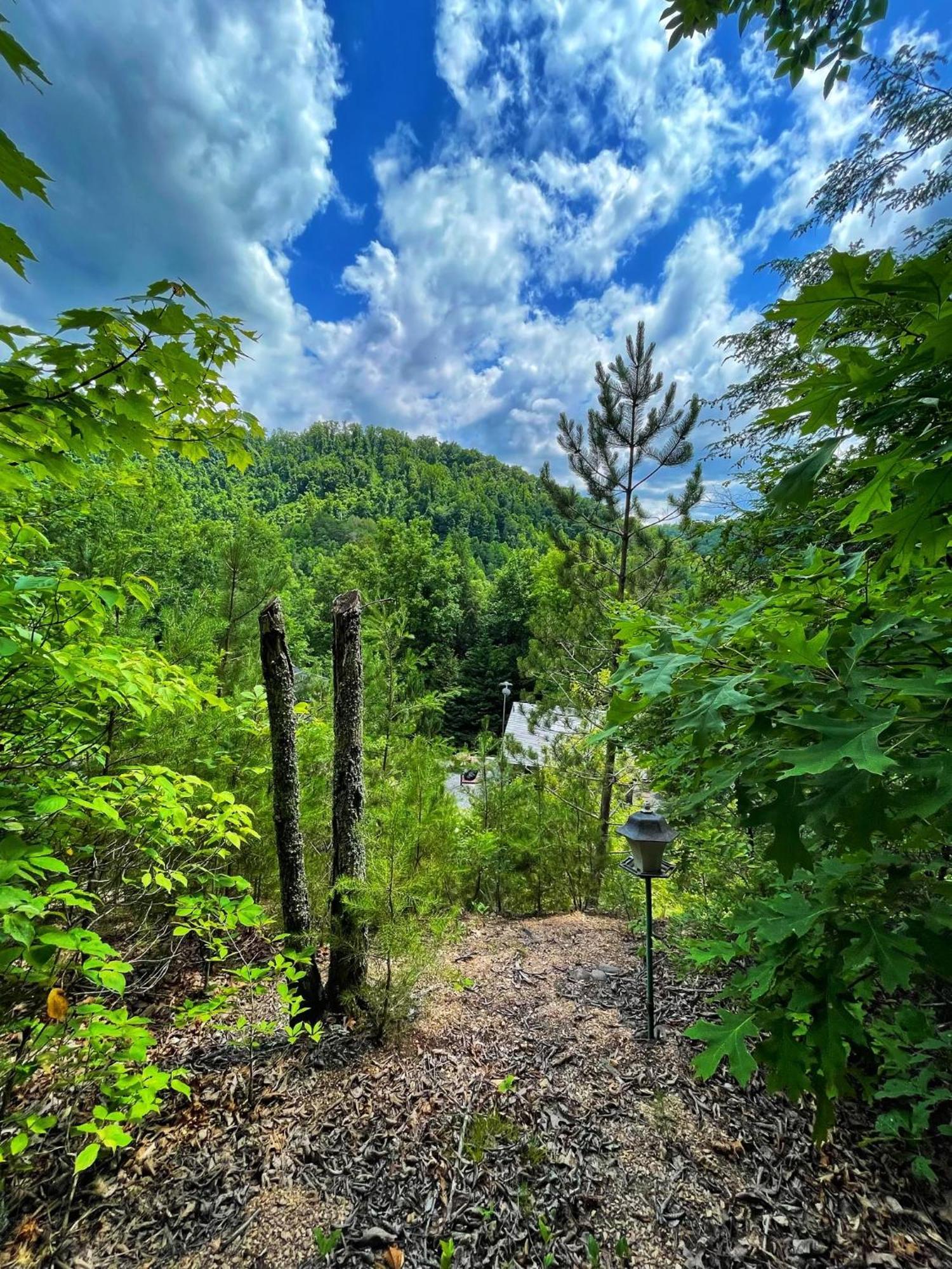 Casa vacanze Tiny House, Wifi,hot Tub,secluded Cosby