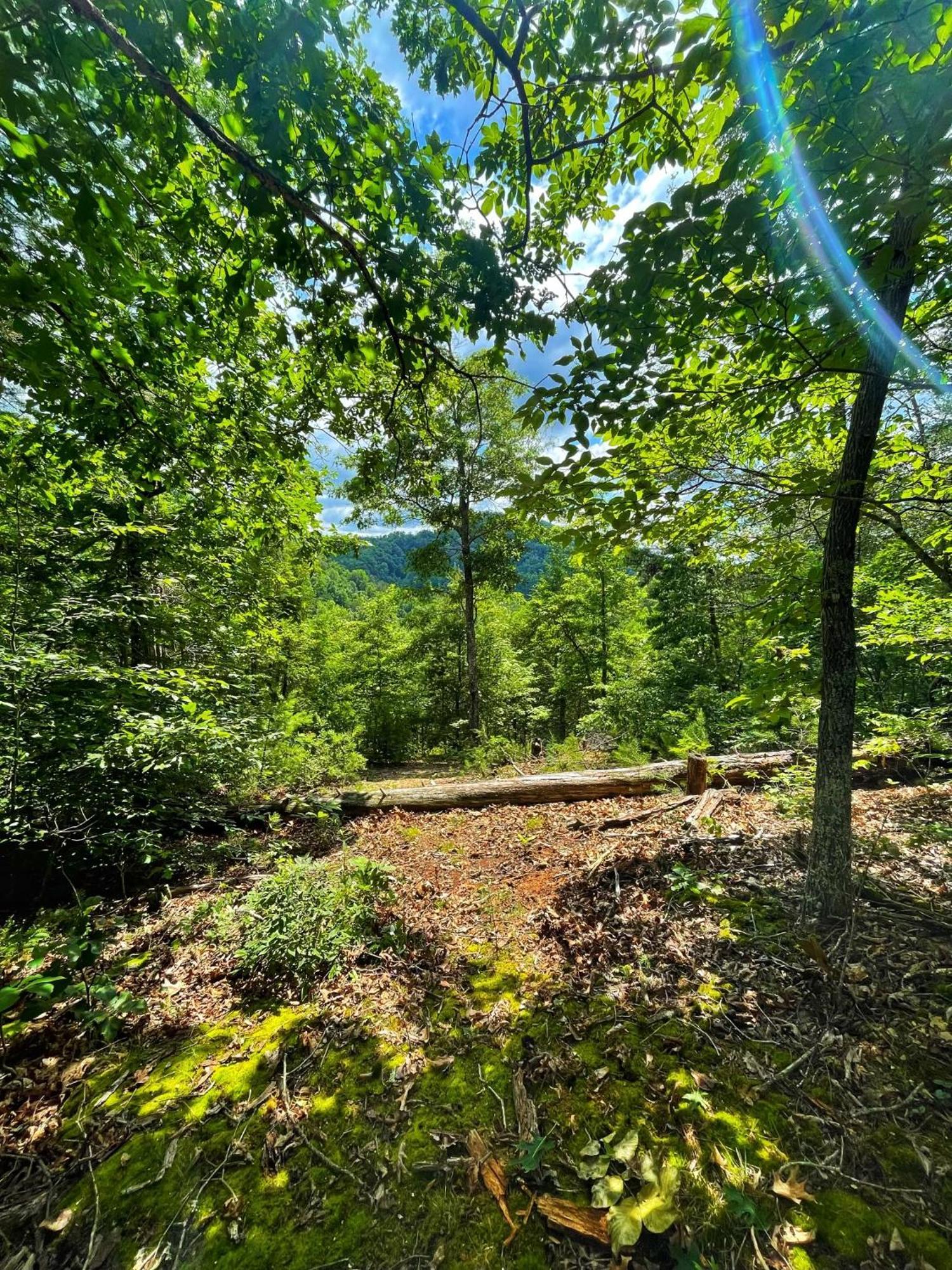Holiday home Tiny House, Wifi,hot Tub,secluded Cosby