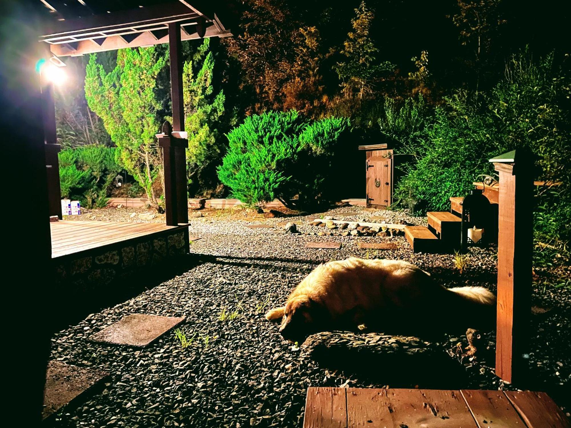 Tiny House, Wifi,hot Tub,secluded Cosby