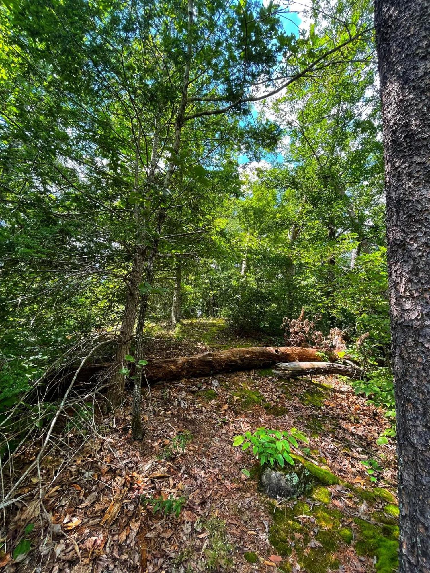 Tiny House, Wifi,hot Tub,secluded