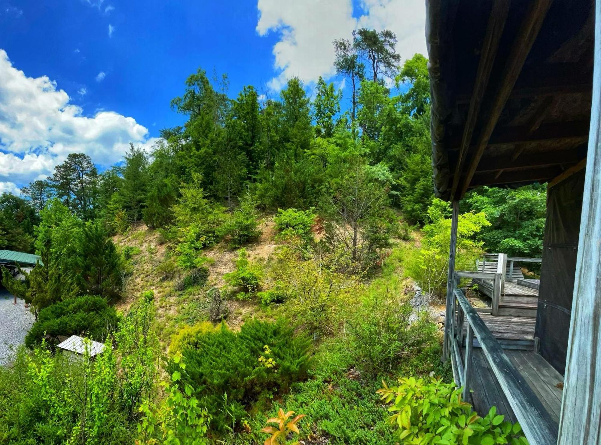 Tiny House, Wifi,hot Tub,secluded Cosby