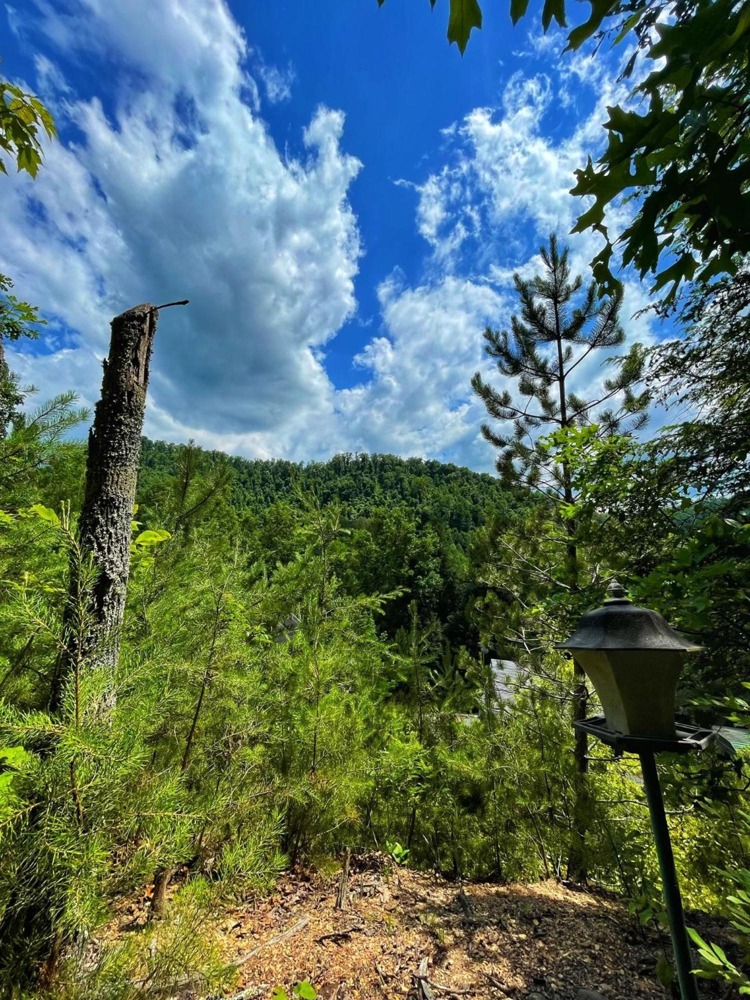 Holiday home Tiny House, Wifi,hot Tub,secluded